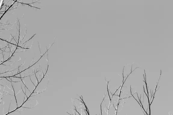 XCasino Casino Soporte